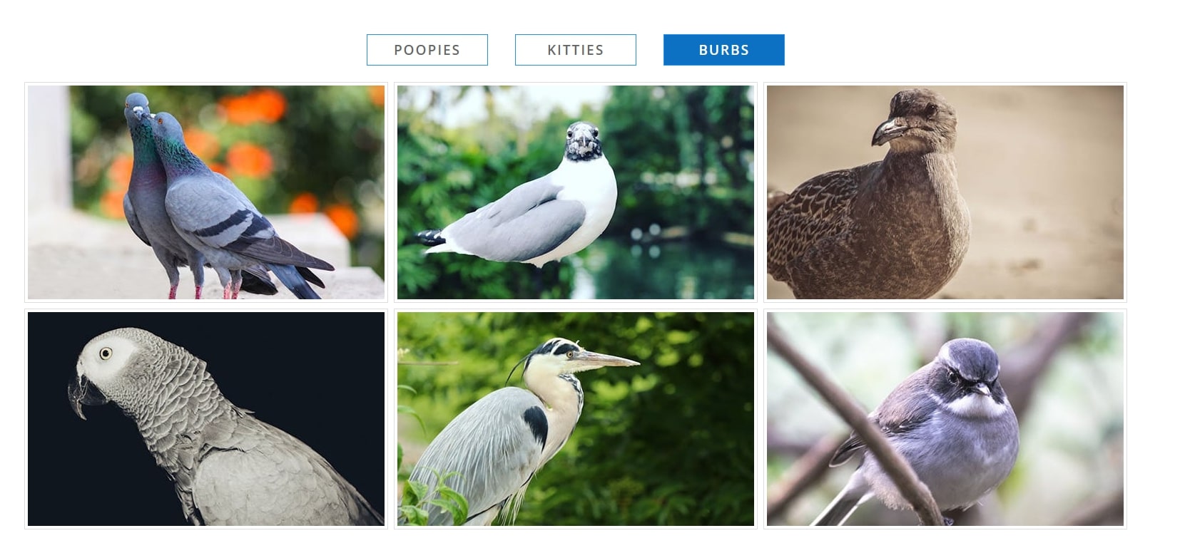 CREATE A FILTERABLE IMAGE GALLERY USING THE DIVI TABS MODULE